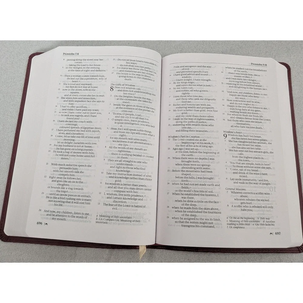 HarperCollins NRSV Catholic Gift Bible Unisex OS Burgundy  Gift Edition